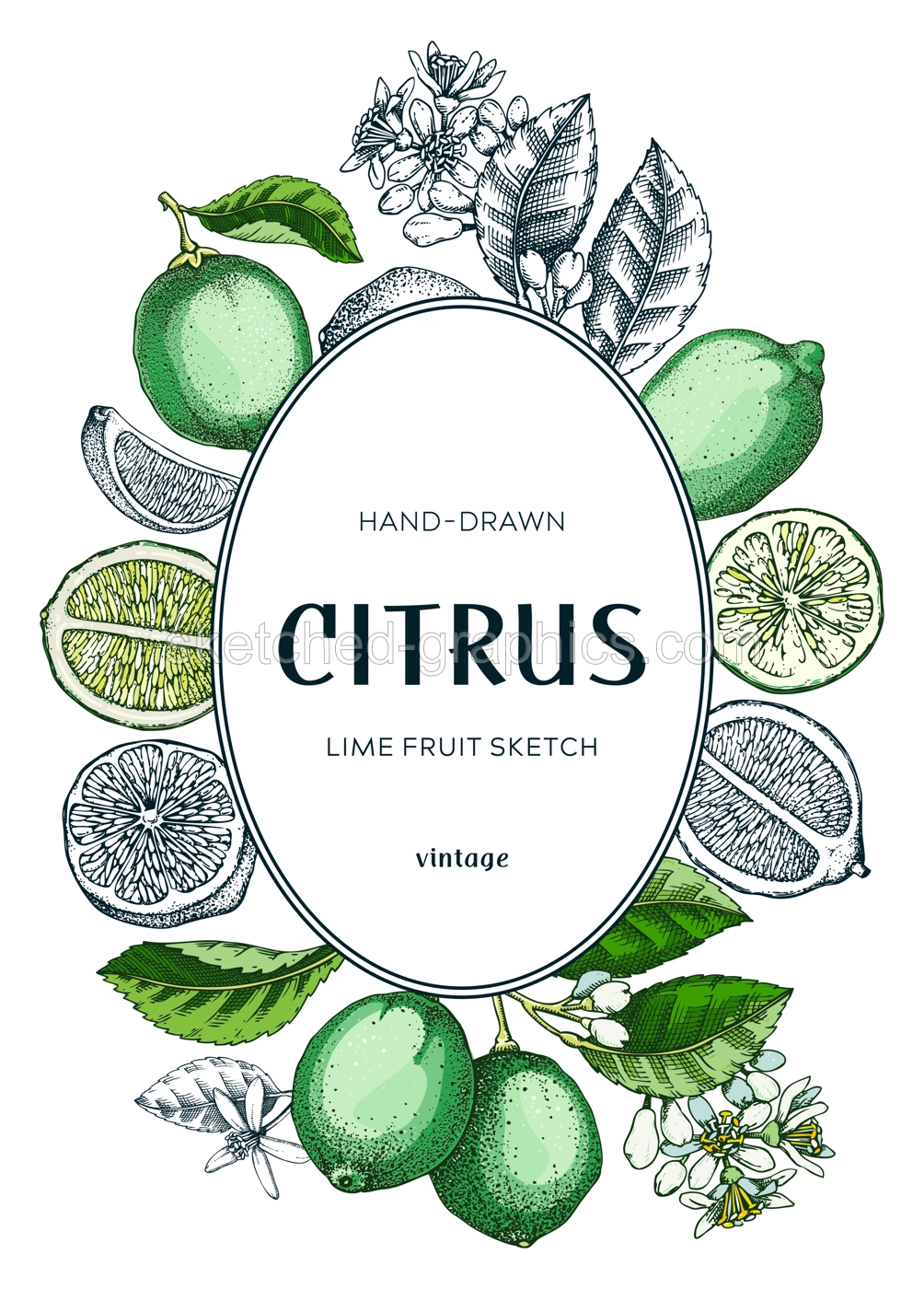 Lime fruit frame. Exotic plants design template. Citrus fruit sketches. Mixed media summer background. Hand drawn vector illustration. NOT AI generated Illustration